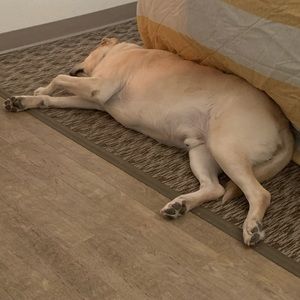 Meet your Posher, Tim